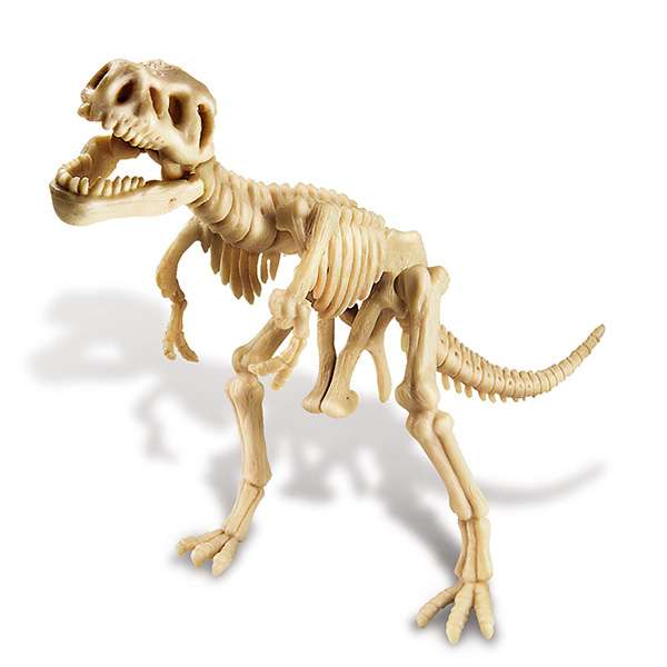 iskopaj dino tiranosaurus rex 