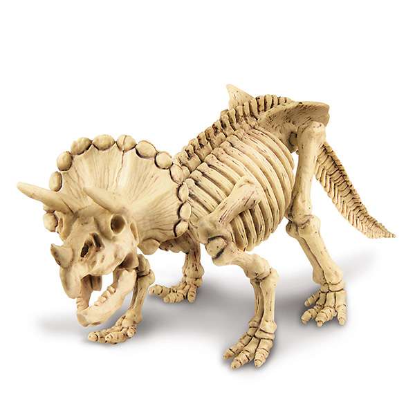iskopaj dino triceratop 